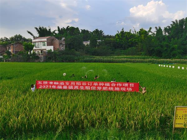 富顺:“三抓三促”推动党建与发展齐头并进(图1) 富顺:“三抓三促”推动党建与发展齐头并进(图1)