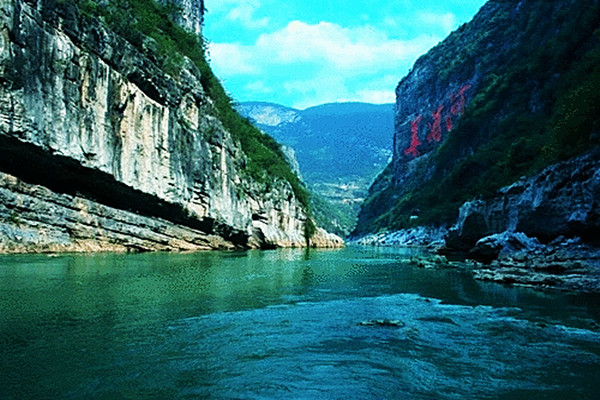 初旭:日怪的大古蔺(图4) u=2933694644,2946941447&fm=253&fmt=auto&app=138&f=GIF.webp.jpg