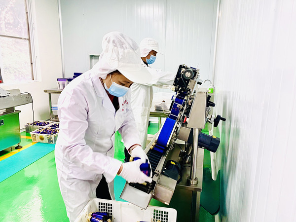 四川卓玛花科技有限公司顺利通过瑞士SGS集团审核认证(图6) 微信图片_20220128184102.jpg