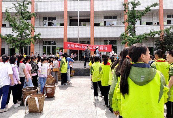 叙永县龙凤中心校师生齐心割麦忙(图2) 劳动前集中安全教育付忠勤.jpg