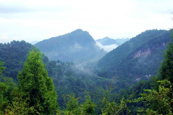 初旭:龙厂沟的乡村医生(图4) src=http___pic1.zhimg.com_v2-1c71fa1be9cd53f840be8004f122c8e4_b.jpg&refer=http___pic1.zhimg.jpg