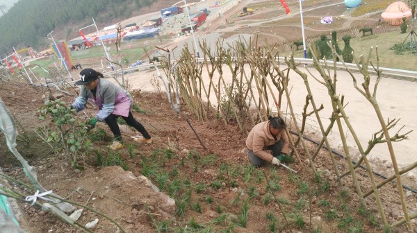 2023古蔺酒乡花谷首届星际迷航灯光展春节将亮相城区(图9) 微信图片_20230114123901.jpg