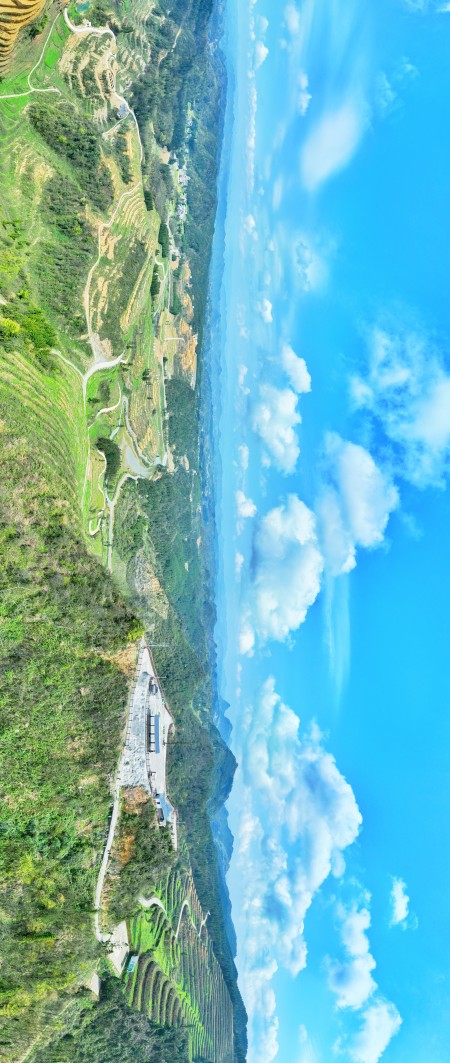 古蔺皇华马洱山惊现“世外茶源”(图7) 微信图片_20230330162913.jpg