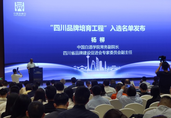 中国品牌日•2024四川品牌发展大会在成都举行(图9) 微信图片_20240511200710.jpg