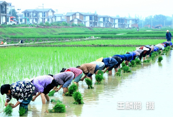 师高徒强 返老还童 ——写在泸州市老年大学相机摄影班结业之际(图12) 13.jpg