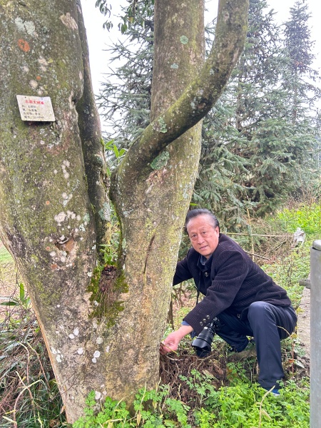 林深见影 一镜钟情——古蔺黄荆老林守山人成林(图3) 6d7c434849aaf37b827118d950829143.jpg