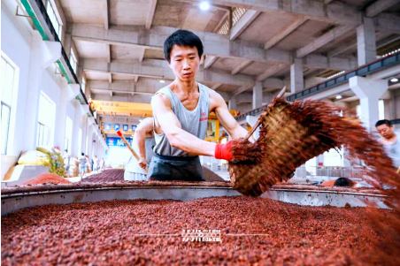 《马蹄声疾》 一篇当代企业文学叙事的经典软文(图6) 微信图片_20260524123408_94_86.png