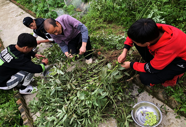 古蔺鱼化中学市级教研课题:应运而生 以飨观众(图7) 古蔺鱼化中学市级教研课题:应运而生 以飨观众(图7)