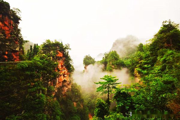 罗晓:世外之梦——黄荆老林(图3) 罗晓:世外之梦——黄荆老林(图3)