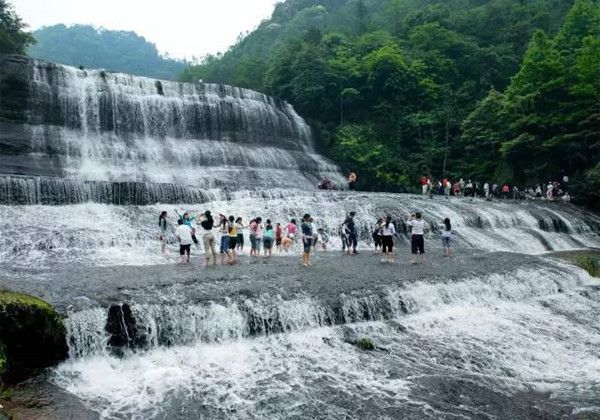 罗晓:世外之梦——黄荆老林(图5) 罗晓:世外之梦——黄荆老林(图5)
