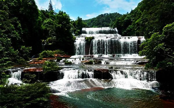 罗晓:世外之梦——黄荆老林(图1) 罗晓:世外之梦——黄荆老林(图1)