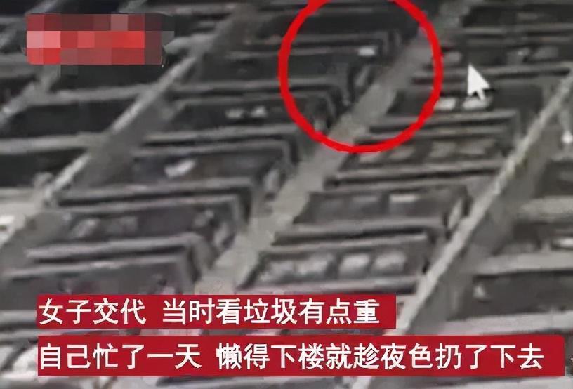 杭州一女子高空抛两袋垃圾被刑拘(图2) 杭州一女子高空抛两袋垃圾被刑拘(图2)