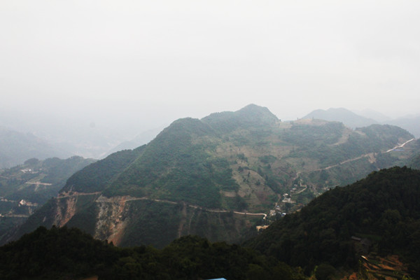 IMG_7899.JPG