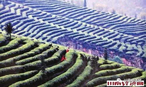 微信图片_20220220173354.jpg