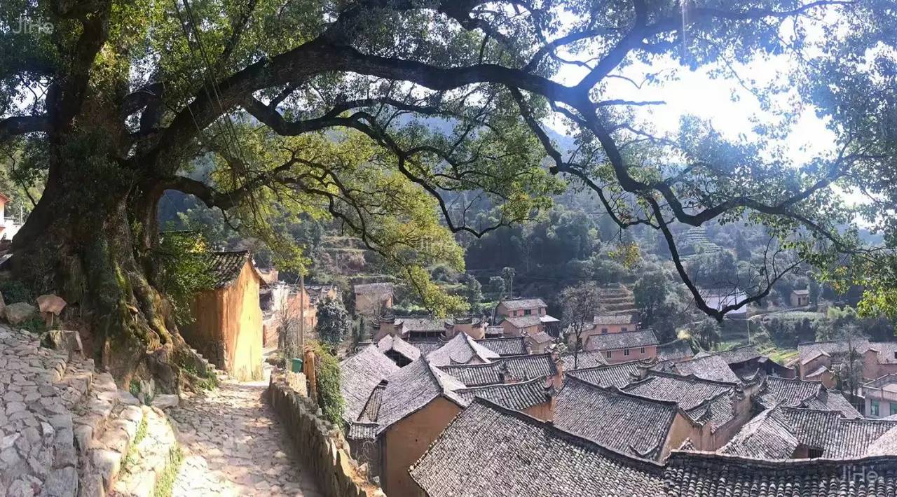 陈耀平：乡愁（诗歌）