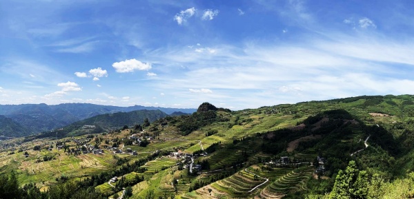 凤凰梯田全景.jpg