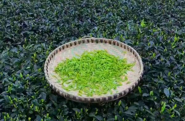 20210304053516305_副本.jpg