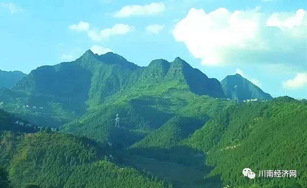 赤水河畔的守灯人——初旭先生记