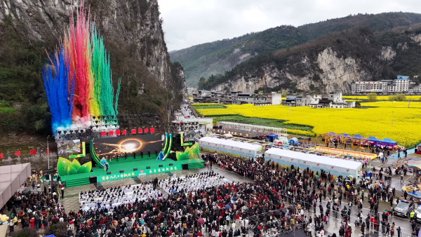 古蔺县白沙场镇菜花文化旅游月盛大开幕  助推乡村振兴