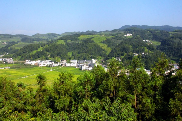 IMG_5647.JPG