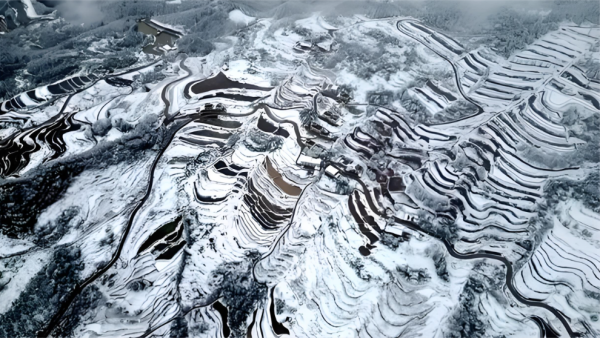 微信图片_20260209123232_2976_12.png