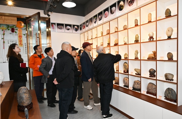 DSC_9565.JPG
