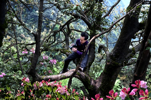 林深见影 一镜钟情——古蔺黄荆老林守山人成林