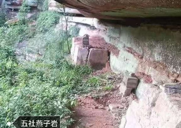 图片1.png555.jpg