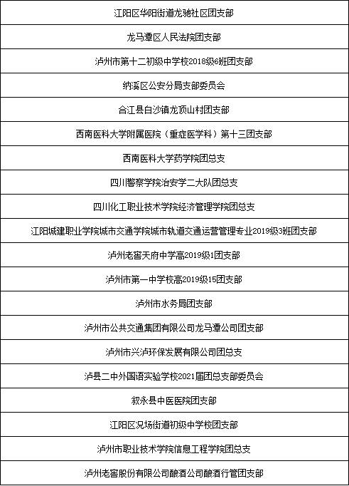 2020年度泸州市“两红两优”名单公示(图5)
