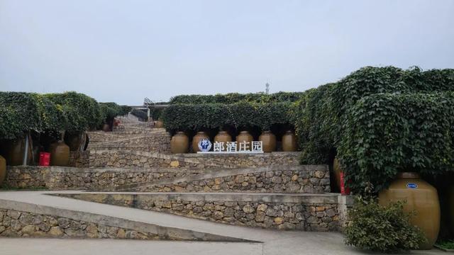 四川 · 泸州：年味浓，不只在佳酿(图37)