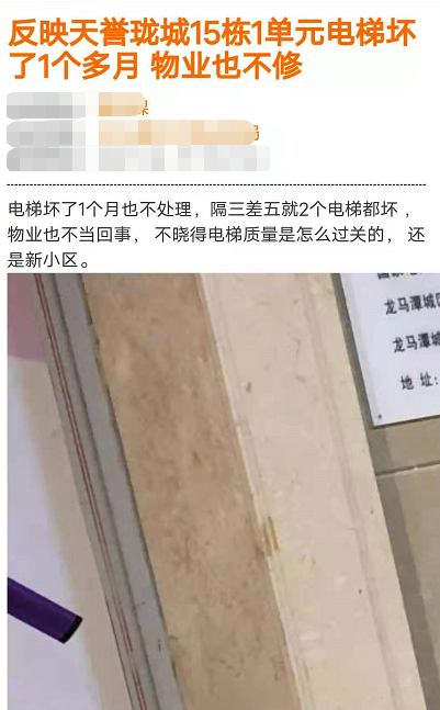 天誉旗下多个楼盘频遭业主曝光,口碑尽失! (图5)