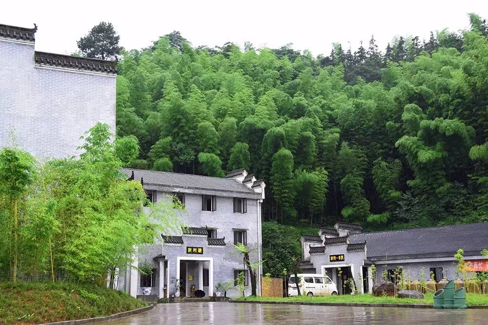 以竹酿美酒，以诚育创新---走进四川活之酿酿酒公社(图9)