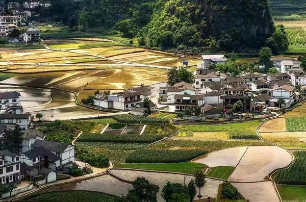 临渊读水：琥珀的月光(散文)(图4)
