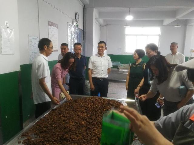 泸州：江阳区扎实抓好现代医药产业生态链建设